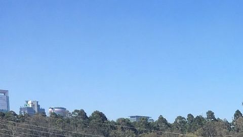 Bosque de Chapultepec.