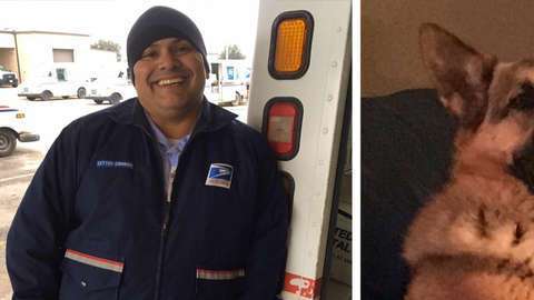 La increíble amistad de un cartero y un perro.