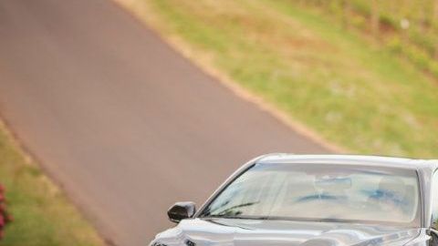 No los puedes dejar pasar