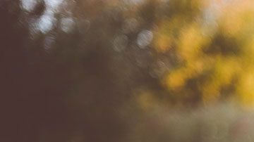 Algunos empleos son ideales para personas que tienen toda una vida de experiencia.