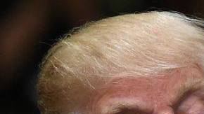 El gobierno Trump apelará la decisión