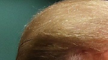 El presidente Trrump no ha hablado directamente sobre "Lady Frijoles".