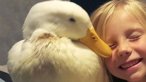 La pequeña Kylie con su pato al que adora.