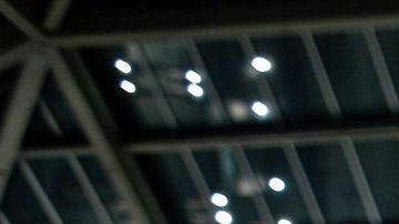 Ian Richard Hodgkinson, mejor conocido como "Vampiro Canadiense", llegó a pertenecer al Consejo Mundial de Lucha Libre