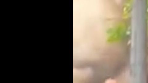 VIDEO: Narcos queman vivo a taxista en Veracruz