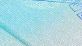 La visa de turista no debe afectarse por una petición familiar.