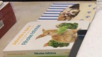 Las bolsas halladas.