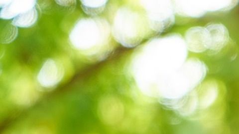 ¿Y a tu pareja qué es lo que le gusta beber?