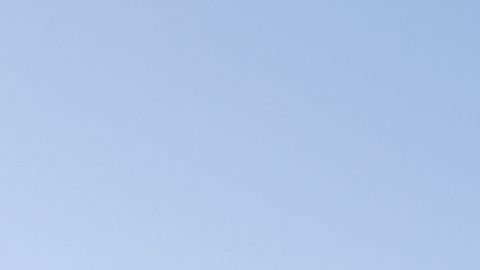 Los mexicanos radicados en EEUU apoyan a su país natal.