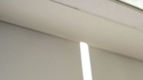 Cientos de personas acuden a realizar trámites a los consulados de México en el mundo. / Foto: Aurelia Ventura