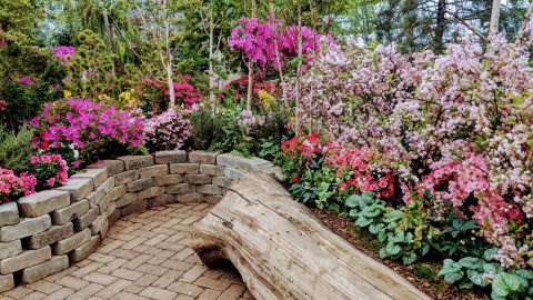 El espectáculo de flores en Garfield Park Conservatory es ideal para celebrar a las madres.