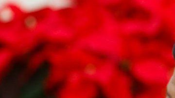 La guerra comercial EEUU-China ya toca a América Latina.