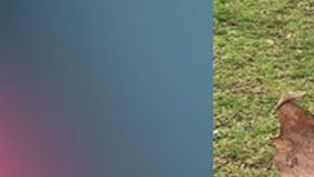 Evie Kinsella tiene múltiples alergias alimentarias.