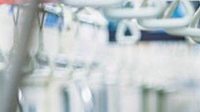 Gaman es una actitud y voluntad de perseverar ante la adversidad.