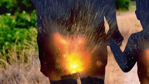 Los traumas dejan huellas que se trasmiten a los hijos.