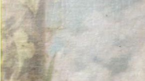 El presidente Juan Mora lideró a Costa Rica en su batalla.