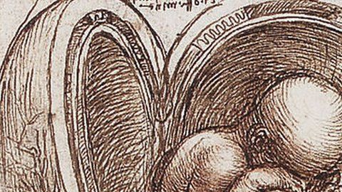 106758376_gettyimages-89862512