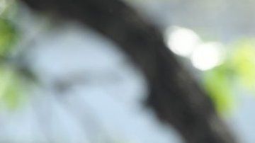 Juan Guaidó y Leopoldo López encabezaron la movilización.