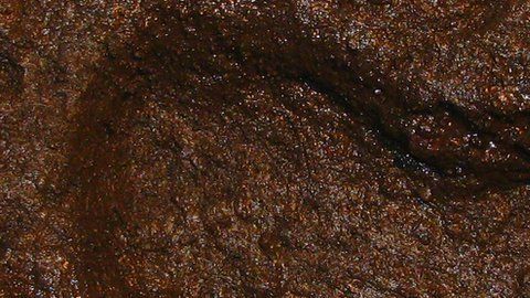 La huella encontrada mide 23 centímetros.