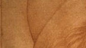 Retratos de da Vinci permitieron descubrirlo.