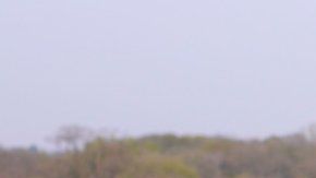 Al comienzo, "Jane" consumía cocaína dos veces a la semana.