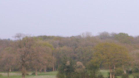 Al comienzo, "Jane" consumía cocaína dos veces a la semana.