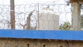 106834127_de6d0a4c-6899-456b-84c4-73a50dd1ac20