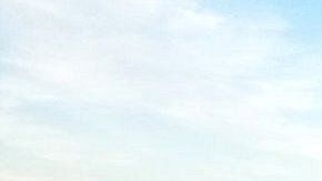 Los árboles murieron y sus hojas se volvieron rojas.