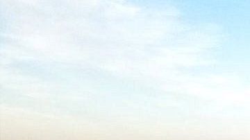 Los árboles murieron y sus hojas se volvieron rojas.