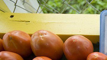 Importadores de tomates en EEUU dicen que el precio subirá.