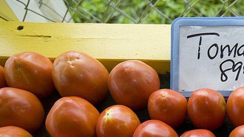 Importadores de tomates en EEUU dicen que el precio subirá.