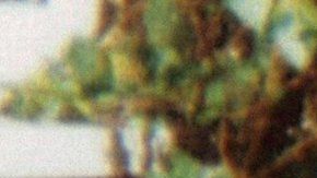 Hay más delitos contra personas con discapacidad, como Gemma.