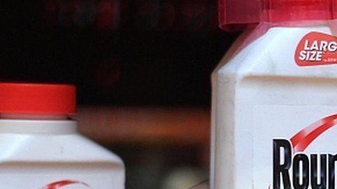 106951566__106946989_053935751