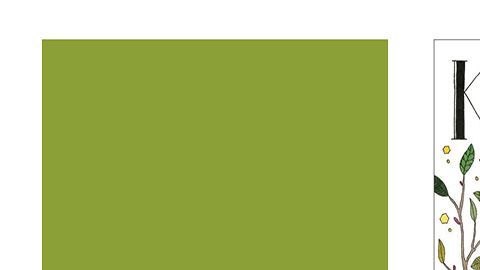 Las palabras "intraducibles" nos atraen.