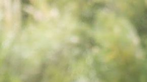 Sarasola ha debido desafiar creencias populares.