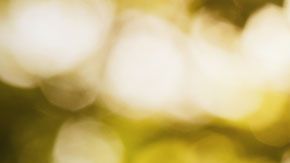 Las consecuencias pueden ser desastrosas.