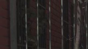 Es la primera escuela para alumnos transgénero.