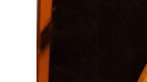 Es una versión artificial de la bacteria E. coli.