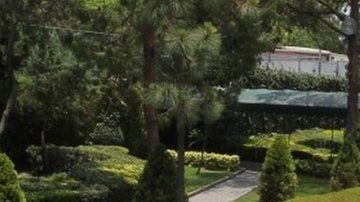 Subastarán vehículos de lujo que son confiscados.