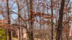 107102197_96556fab-faf4-452e-9fd9-54514809b2d7