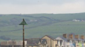 Los árboles quedaron sepultados bajo el agua hace más de 4,500 años.