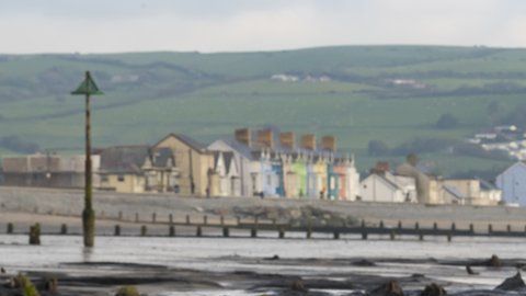 Los árboles quedaron sepultados bajo el agua hace más de 4,500 años.