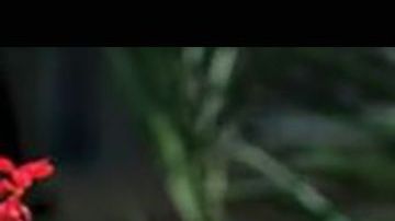 Mamitu Gashe se convirtió en una de las mejores cirujanas de fístulas, a pesar de no haber sabido leer ni escribir.