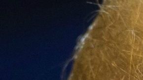 Trump responde con fuerza a fiscales de Massachusetts que intentan mantener a ICE fuera de las cortes