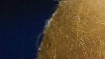 Trump responde con fuerza a fiscales de Massachusetts que intentan mantener a ICE fuera de las cortes