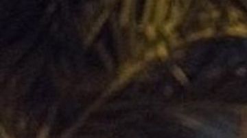 El hispano siguió a un oficial de ICE.