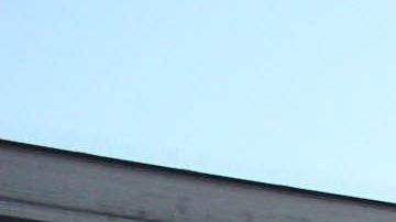 Patrulla Fronteriza captura el mayor grupo de inmigrantes en la frontera.