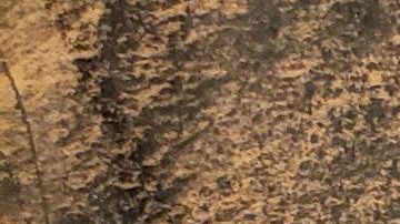 La defensa de Guzmán Loera busca que se repita el juicio.