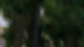 Maduró reaccionó este jueves exigiendo a los militares desarmar a los "traidores" y "golpistas".