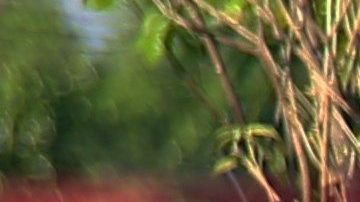 Todas las víctimas son trabajadores de la prisión.